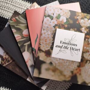 Daily Grace Co Bible Study Set